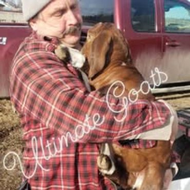 Holding a happy baby goat.