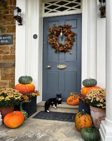 A black and white cat rests on a doorstep surrounded by pumpkins and fall flowers.