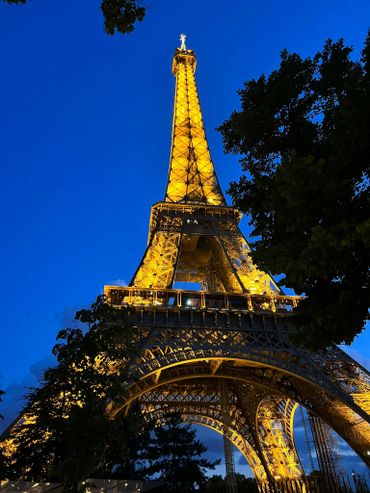 Eiffel Tower illuminated against a deep blue evening sky with surrounding trees.