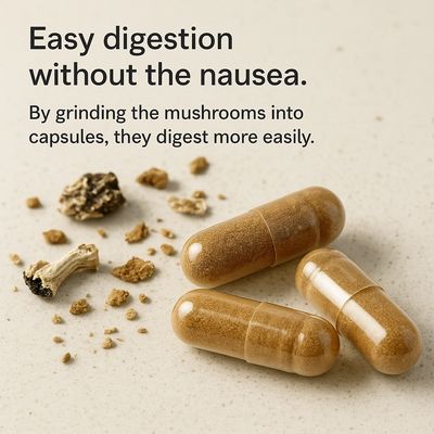 Easy Digestion Without The Nausea. 500mg shroom capsules by Toronto Mushies