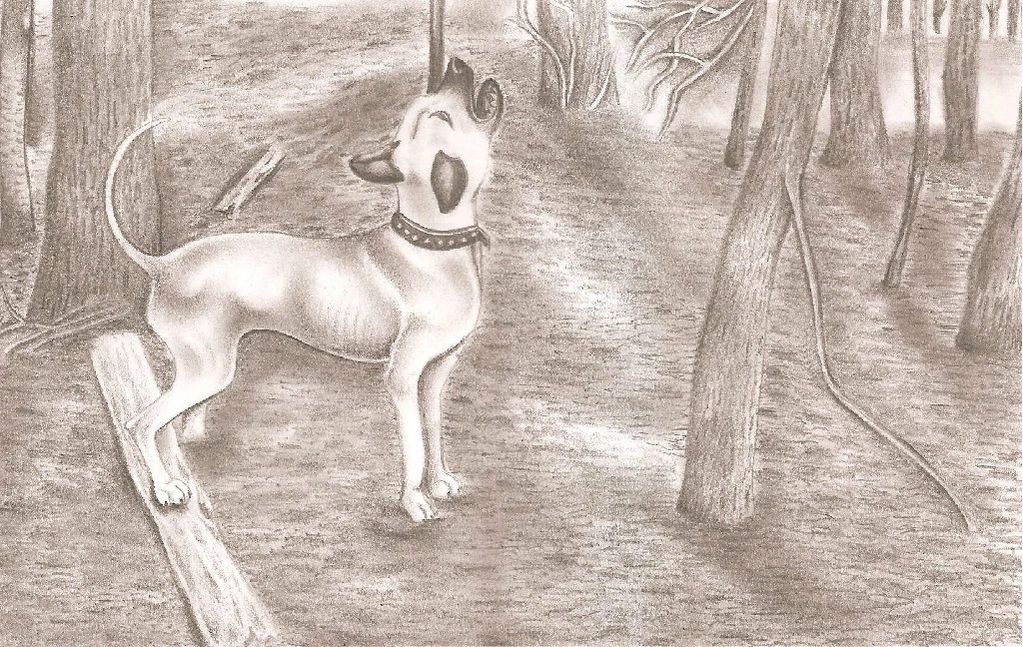 Illustrated By Chad Michael Hillis