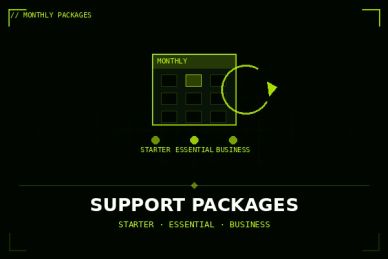 Graphic showing monthly support packages: Starter, Essential, Business.
