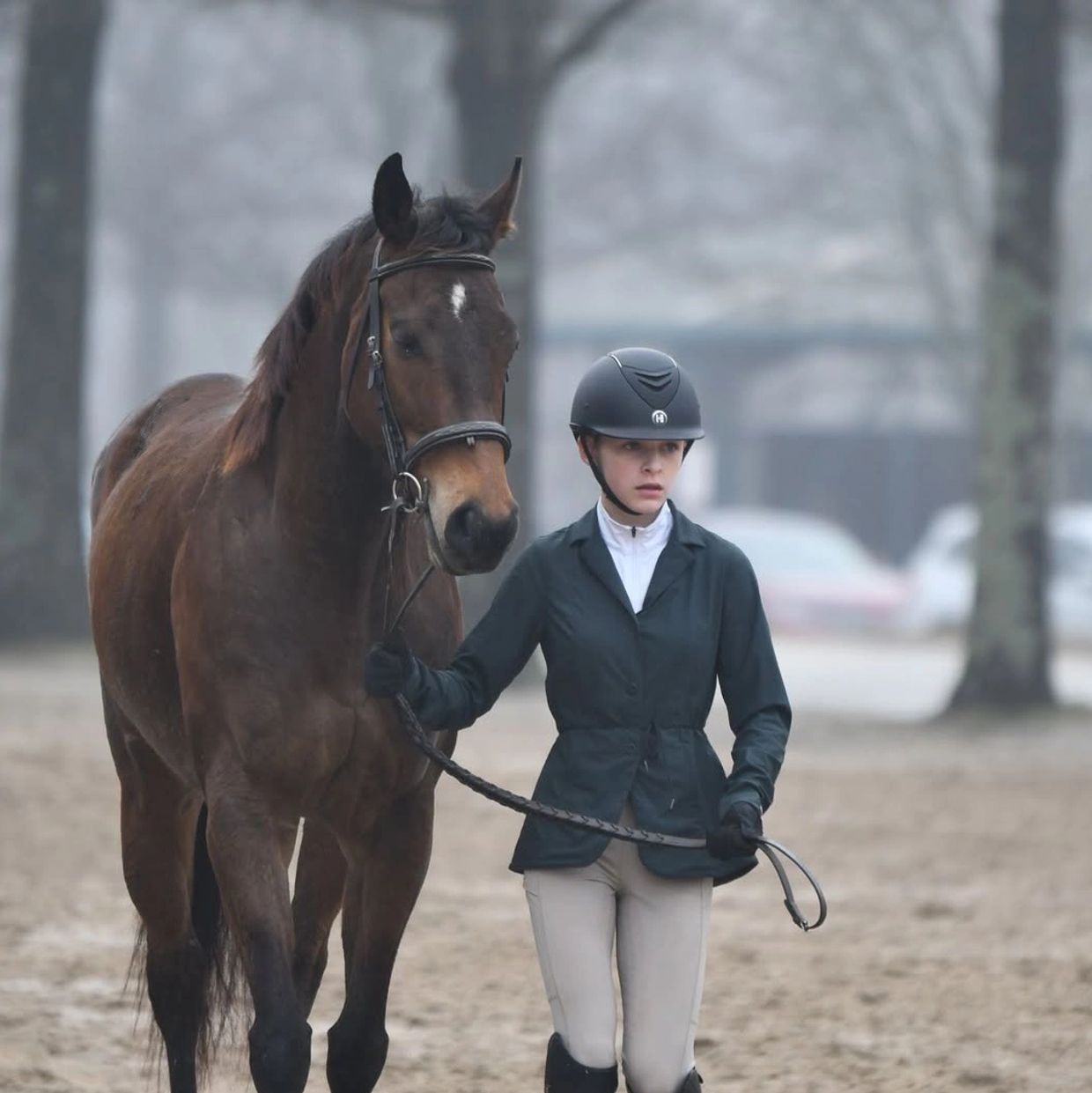 A young rider leading a brown horse.