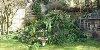 Garden clearance service in Lincoln Lincolnshire. Coleman Cleaning of Lincoln.