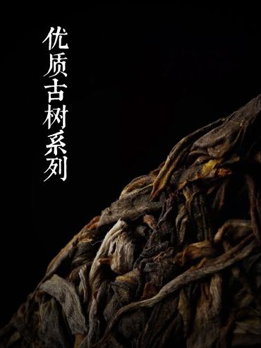普洱茶,普洱老茶,散茶,百年古董,君豪軒,怡馨龍,精品茶,老白茶,銀針,福鼎,白牡丹,古樹紅茶,印級茶,標竿茶,老熟茶,茶室茶倉,紅印,藍印,八八青餅,熟磚,法沱,藍標,宋聘,荃灣海盛路TML廣場