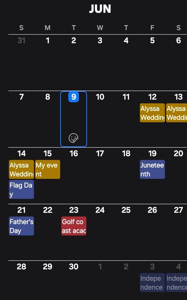 June calendar with events like Alyssa's wedding, Juneteenth, and Father's Day.