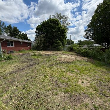 A partially cleared backyard with green grass and a cloudy sky.