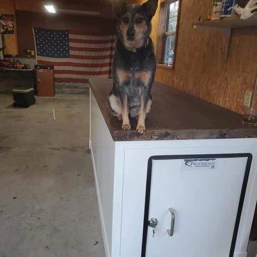 Explore tornado shelter accessories from Providence Storm Shelters. Pet friendly shelters.