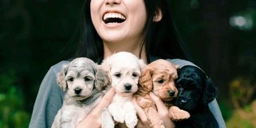A joyful woman holding four adorable puppies of different colors.