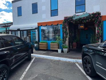 Universal Motion Vinyl with Clear Windows