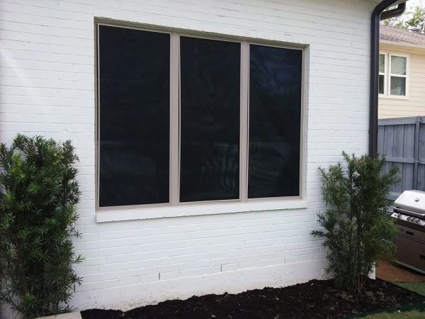Window with black screens on a white brick wall, flanked by green shrubs.