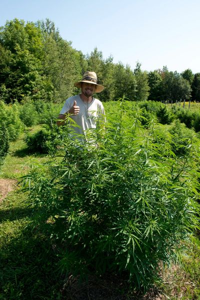 Off Piste Farm VT Sungrown Cannabis