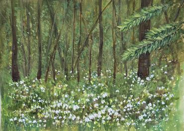 Woodland of Snowdrops 30cm x 25cm Watercolour 2026 by Debbie Davidge, USA.