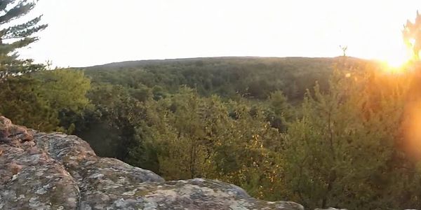 Cliff overlooking forest at McMullen County Park in Warrens, WI