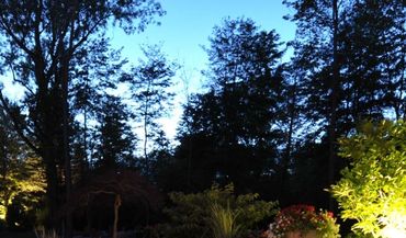 backyard setup with beautiful lights