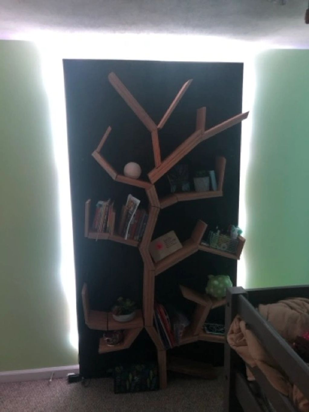Tree bookshelf backlit.