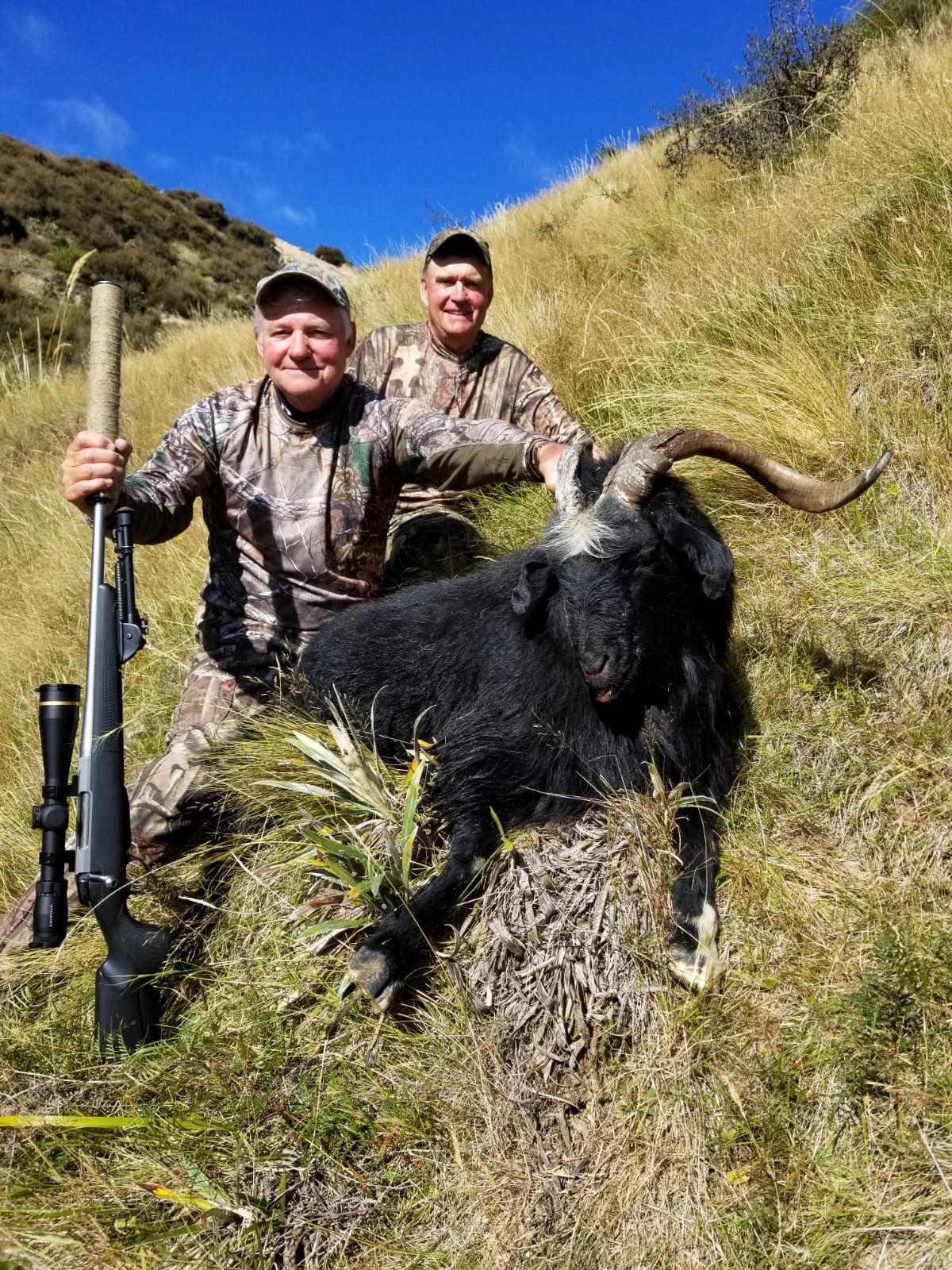 New Zealand Hunting Success