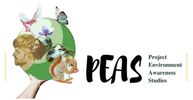PEAS Project Environment Awareness Studies