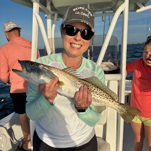 trout fishing in tampa bay st petersburg