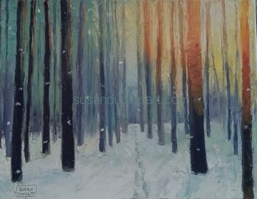 Evening sun filtering through a snowy pinery