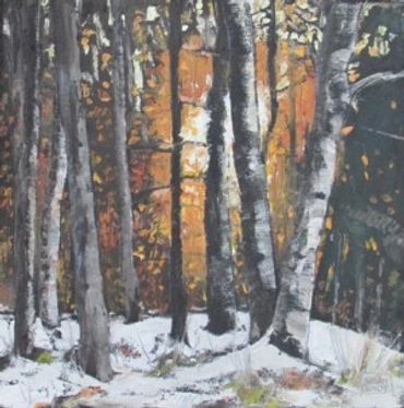 winter sunset through the woods