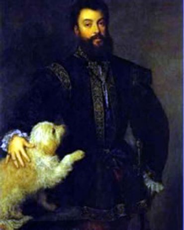 Bolognese dog in a historical painting
