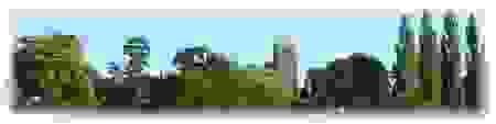 image11