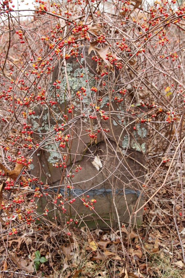 Harris Cemetery, Salem, CT Before