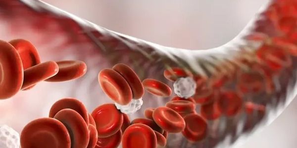 Extracorporeal Blood Oxygenation and Ozonation (EBOO) Therapy Lake Oswego at Evergreen Factor 97035.