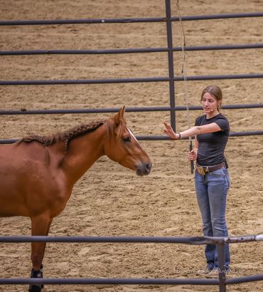 A woman trains a horse in an arena, holding a whip and gesturing with her hand.