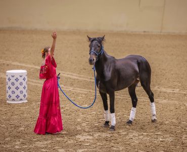 A girl in a red dress leads a black horse in an indoor arena.