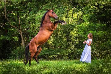 A horse rearing up in front of a woman in a white dress in a green forest.