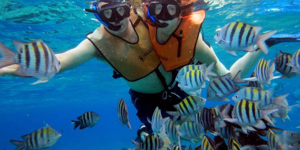 Married Couple snorkles with angel fish