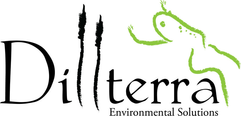 Dillterra LLC
