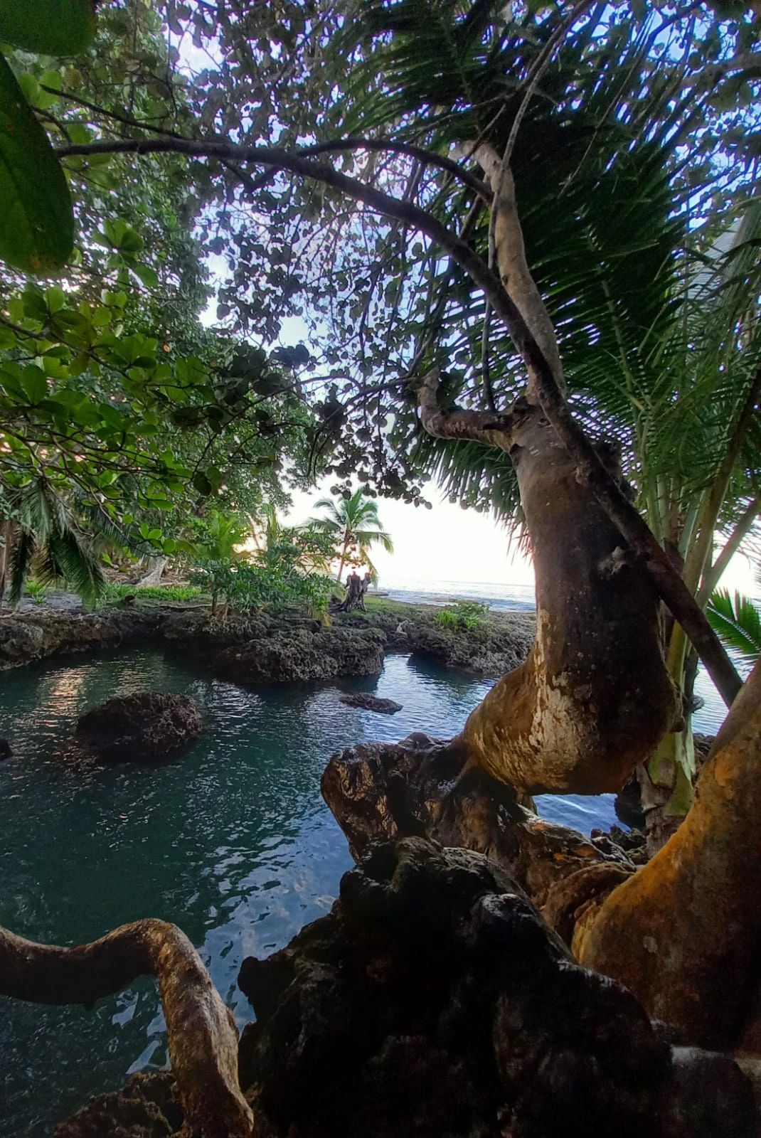 Pozas Naturales Cahuita