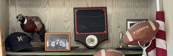 Shelf displaying football memorabilia and a stuffed bird.