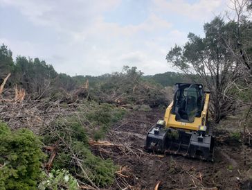 Clearing acreage