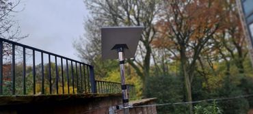 Starlink limited installation areas.