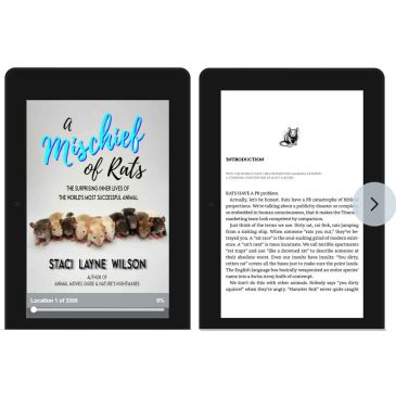 Cover and intro page of a book titled 'A Mischief of Rats'.