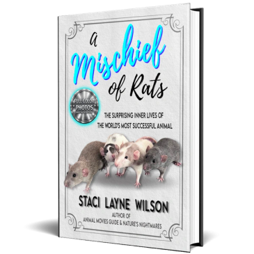 Book cover titled 'A Mischief of Rats' by Staci Layne Wilson.