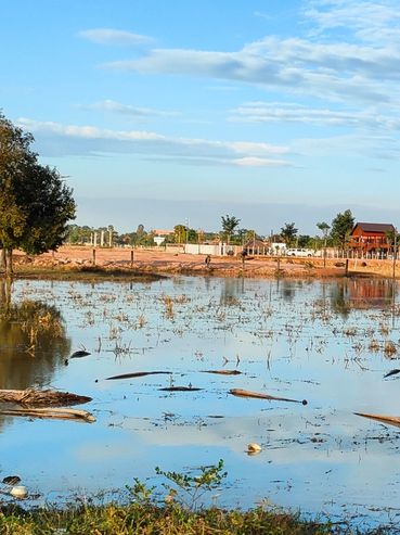 Rural pond reflecting trees and blue sky on a sunny day.