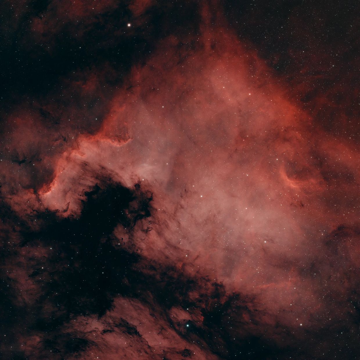 The North America Nebula (IC 7000)