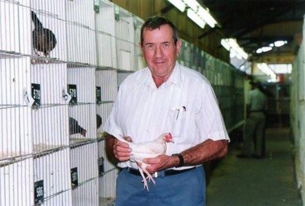 Former president of the Old English Game Fowl Club of Australia Inc, the late Doug Waugh.