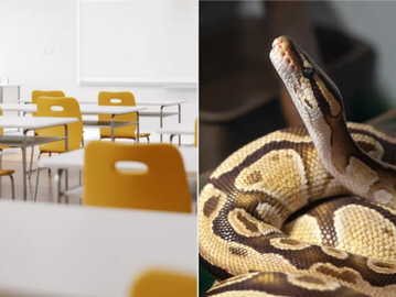 Empty classroom with yellow chairs and desks.