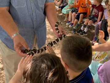 Children touching a snake held by an adult during an outdoor educational event.