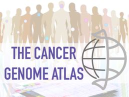 The Cancer Genome Atlas