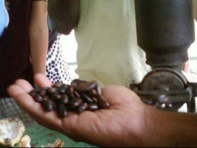 wholesometarian chocolate