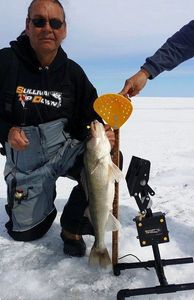 The Automatic Jigging Tip Down catches lots of walleye 