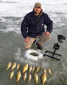 Automatic Jigging Tip Down catching some jumbo Perch