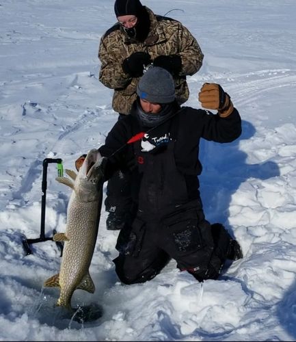 Tom and Scott with a wall hanger Pike using the Team Green Tip Drop with the extension for big fish 